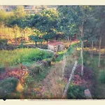 Quinta Do Tojal - Tourism Immersed In Nature! Feriehus