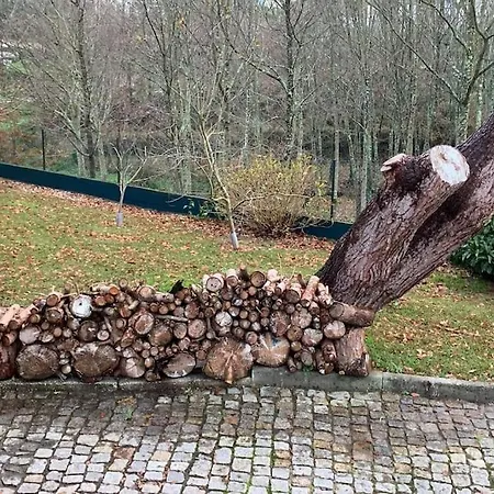 Quinta Do Tojal - Tourism Immersed In Nature! Feriehus