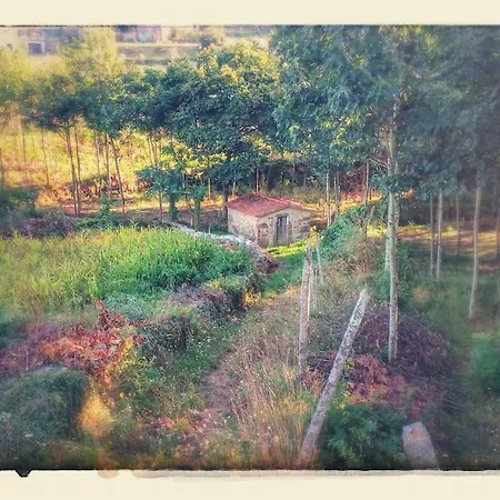 Quinta Do Tojal - Tourism Immersed In Nature! Feriehus